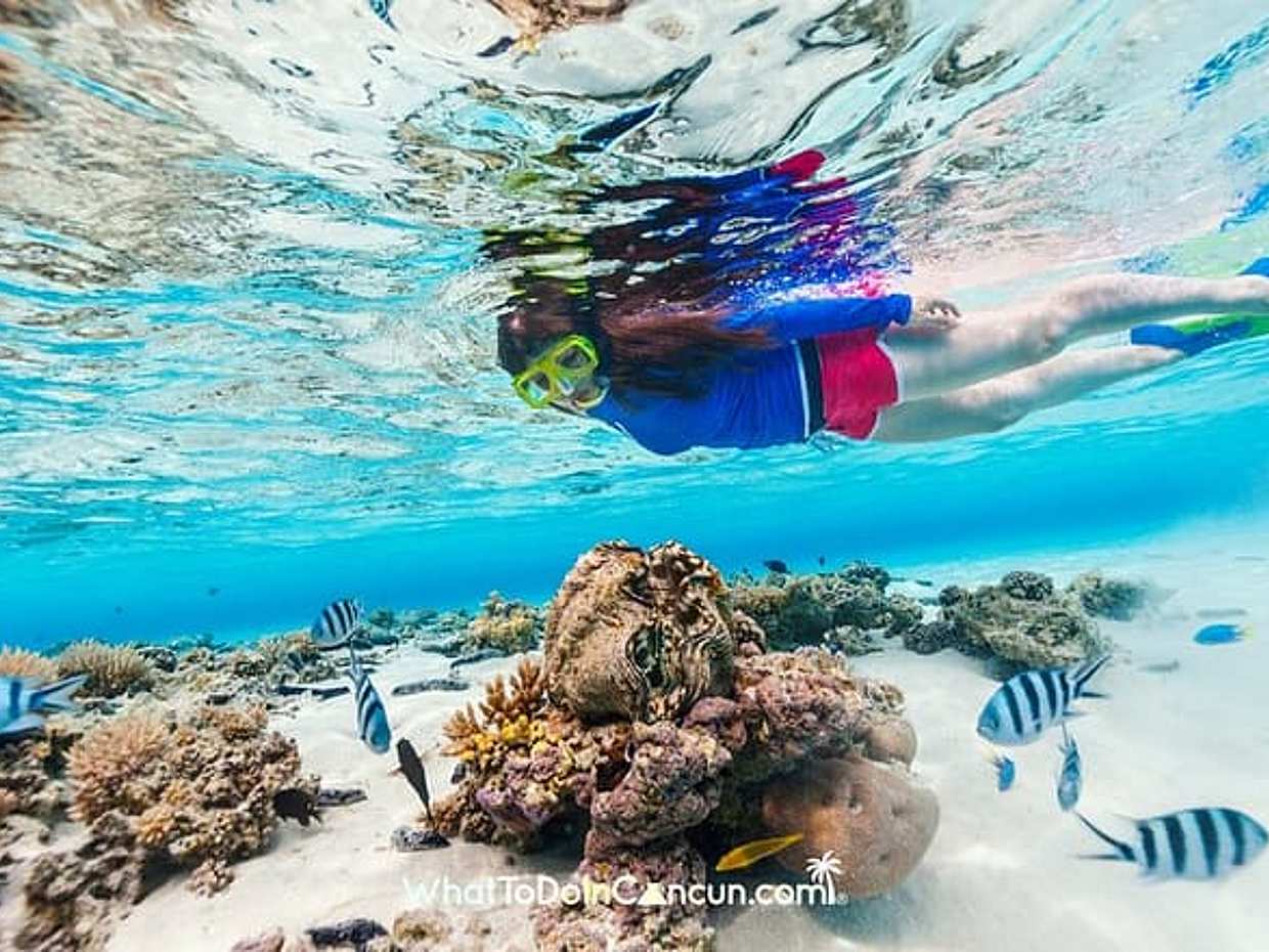 Puerto Morelos Outdoor Activity Experience in Mexico, photo 5