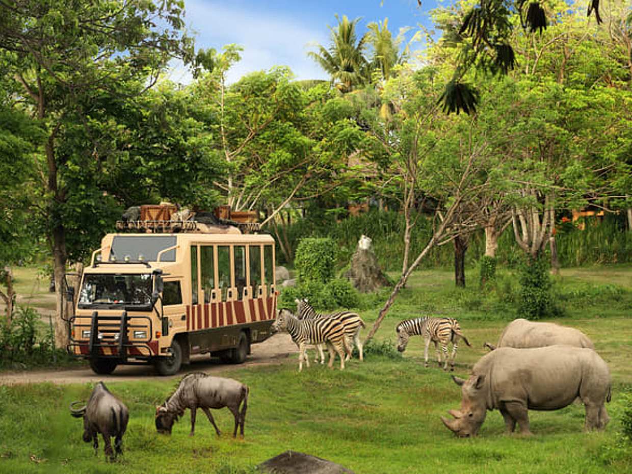 Vinpearl Land + Safari Ticket With Round Trip Transfer, photo 2