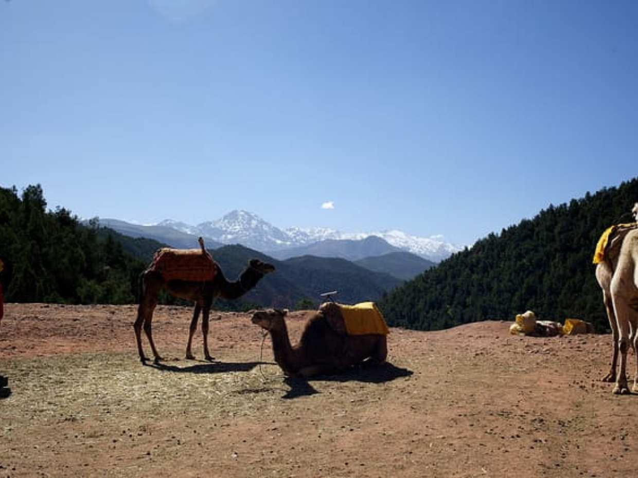Ourika Valley Full-Day Trip, photo 2