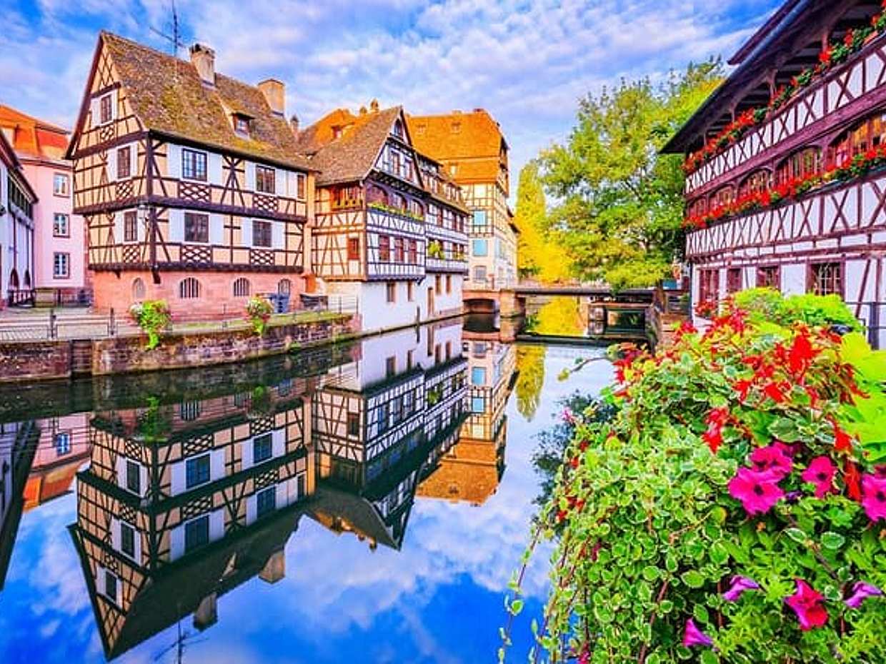 Private day trip from Basel to Alsace Wine Region, local driver in Switzerland, Binningen