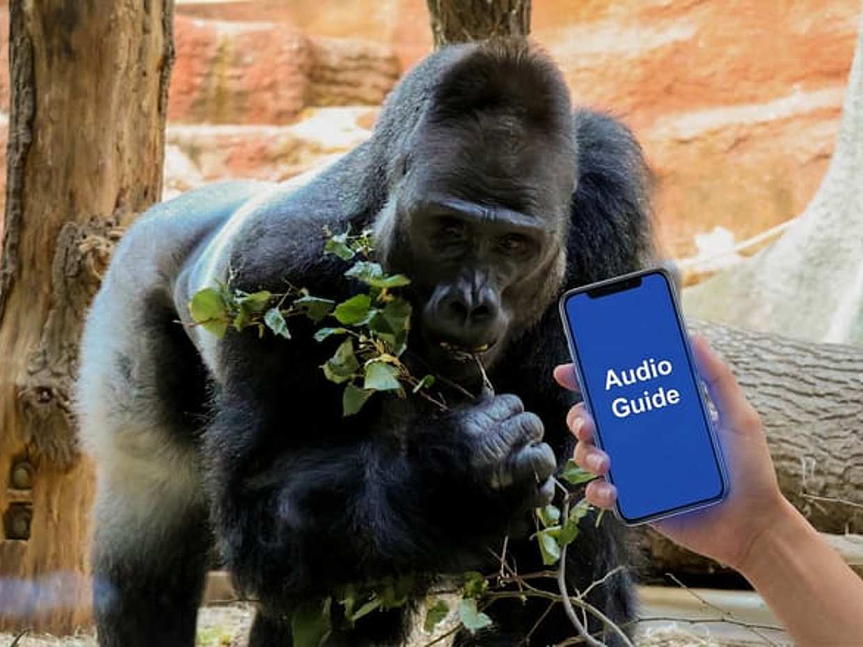 Prague Zoo Online Audio Guide