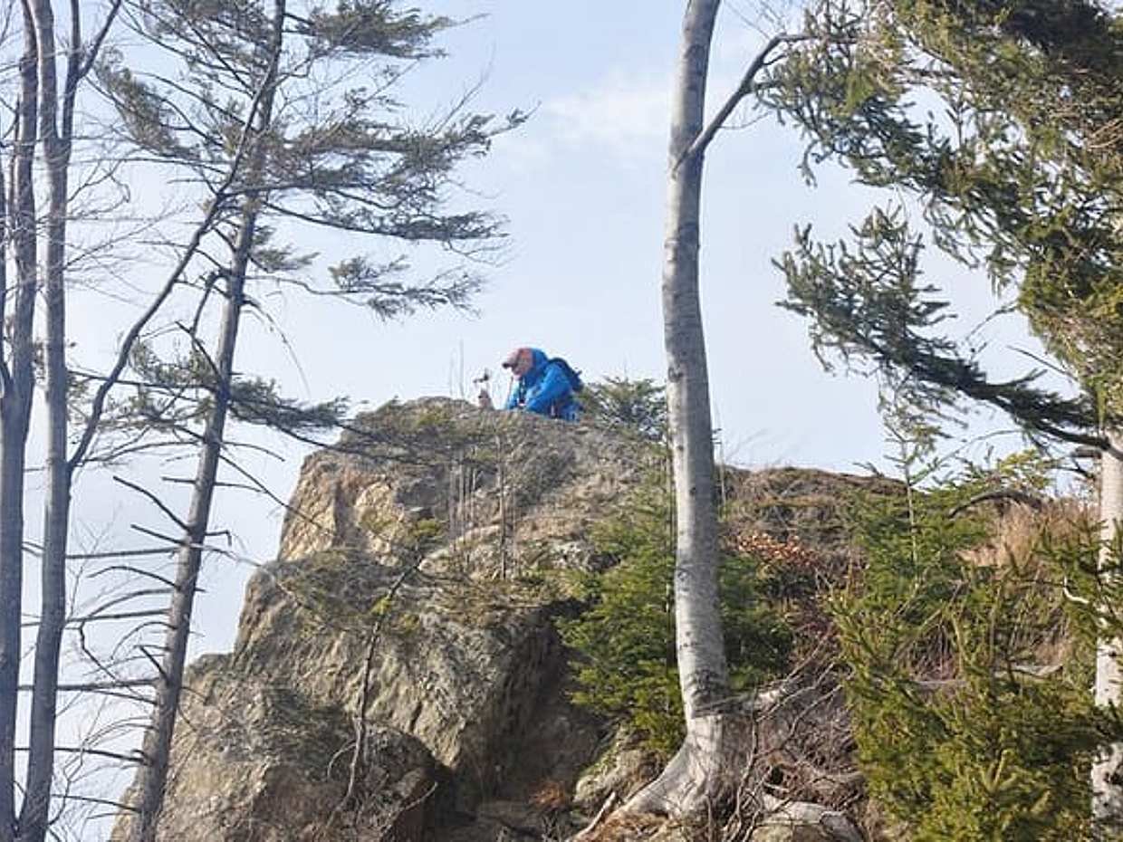 Procházka divočinou – Soukromá fotografická prohlídka v Rumunsku, Brašov, photo 4