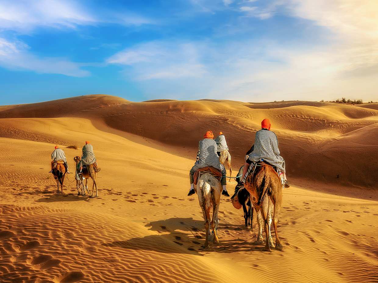 Morning Desert Safari from Abu Dhabi, United Arab Emirates