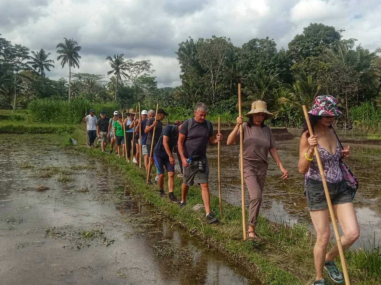 Bali Undisan Village, Posvátný les a trekking k vodopádům v Indonésii
, photo 2