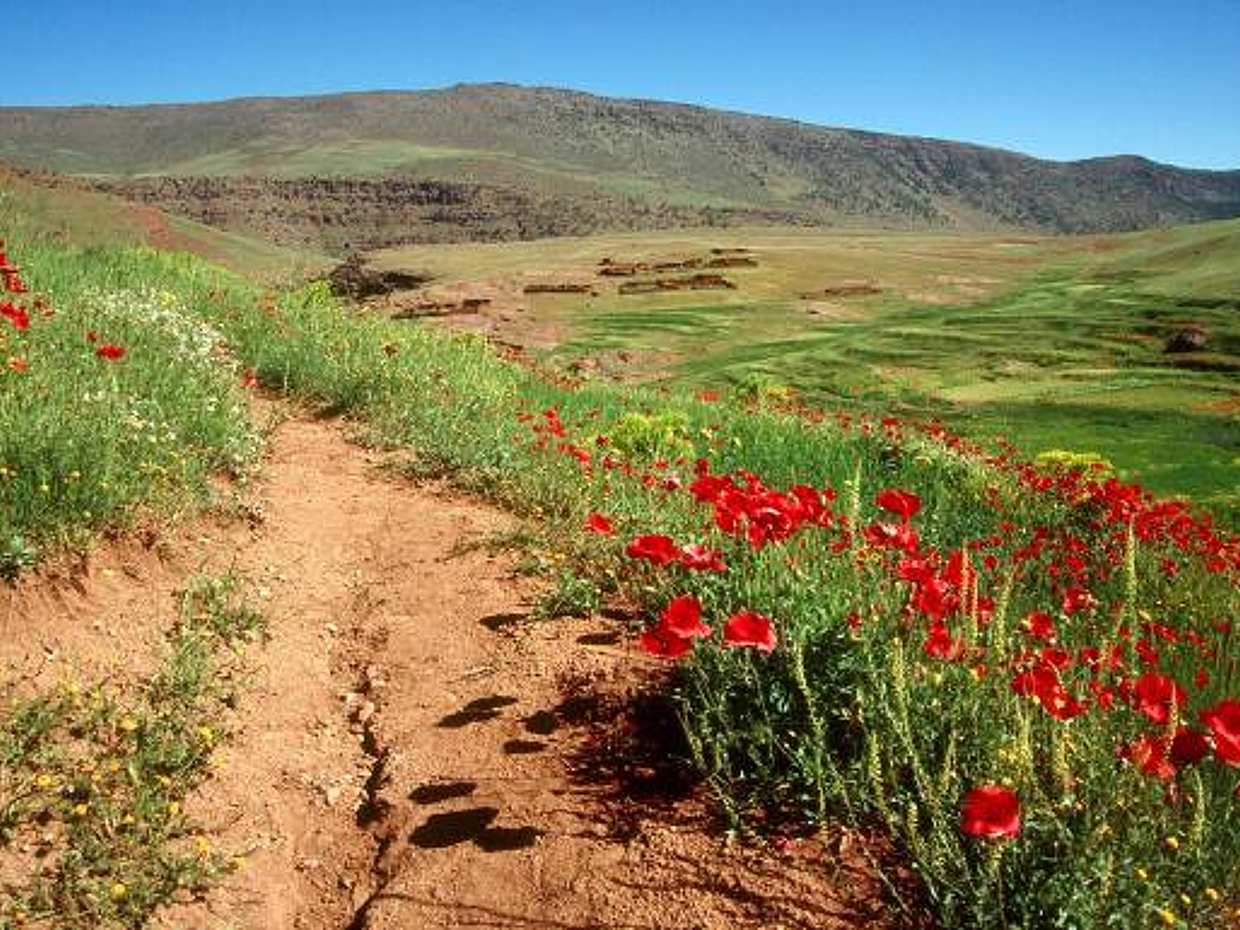 Day Trip from Marrakech to Atlas Mountains and Imlil Valley in Morocco, photo 5