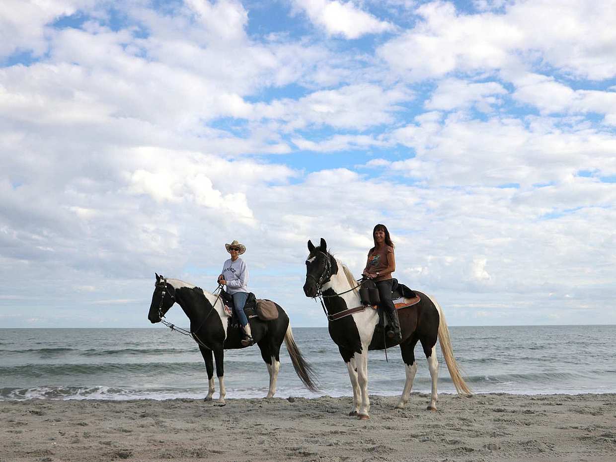 Seaside Horse Riding 60 minutes