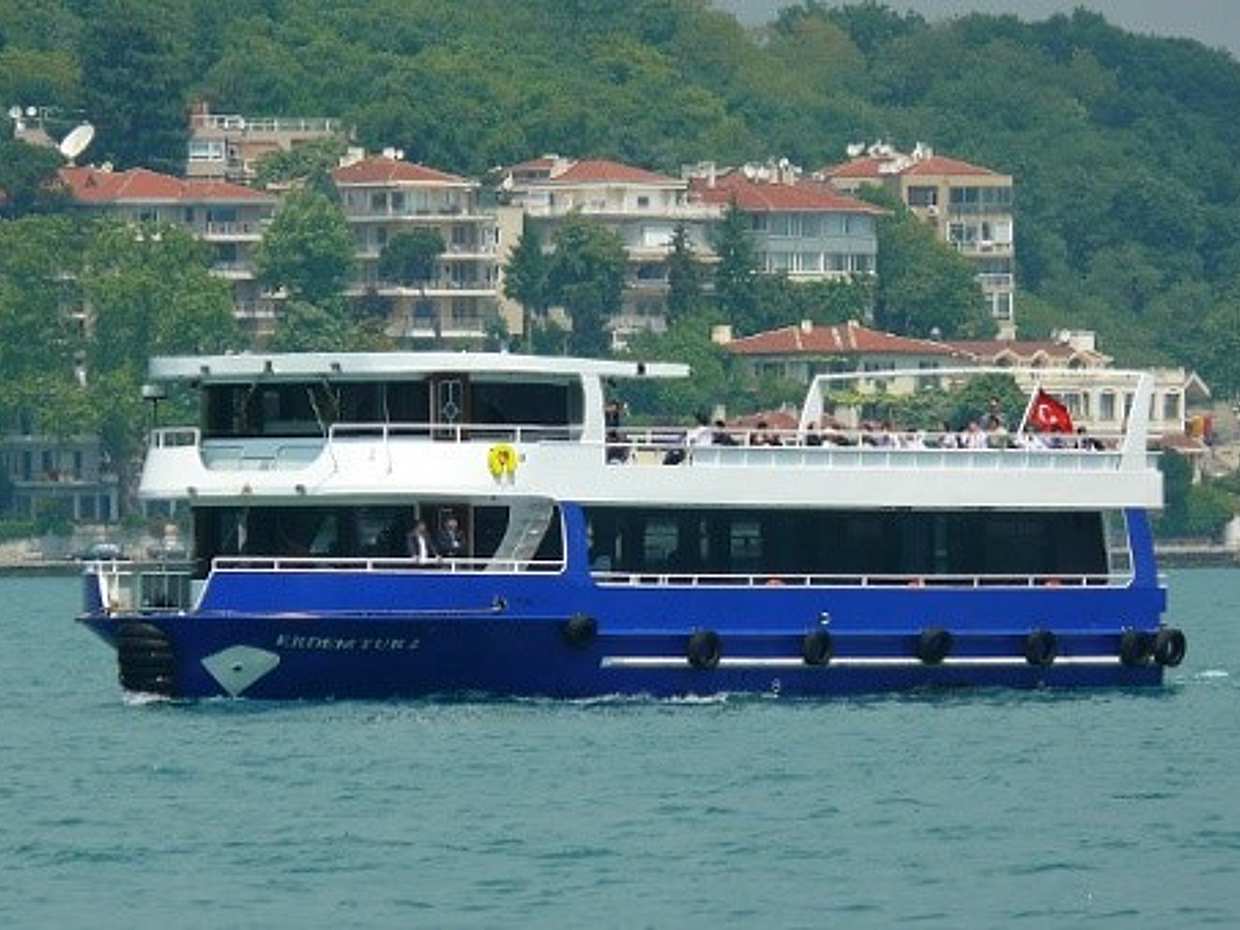 Private Cruise on Bosphorus with Princess Island Visit in Istanbul, Türkiye, photo 2