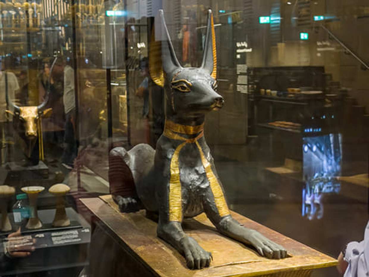 "Tour privato al Grande Museo Egizio con pranzo tipico, Il Cairo", photo 4