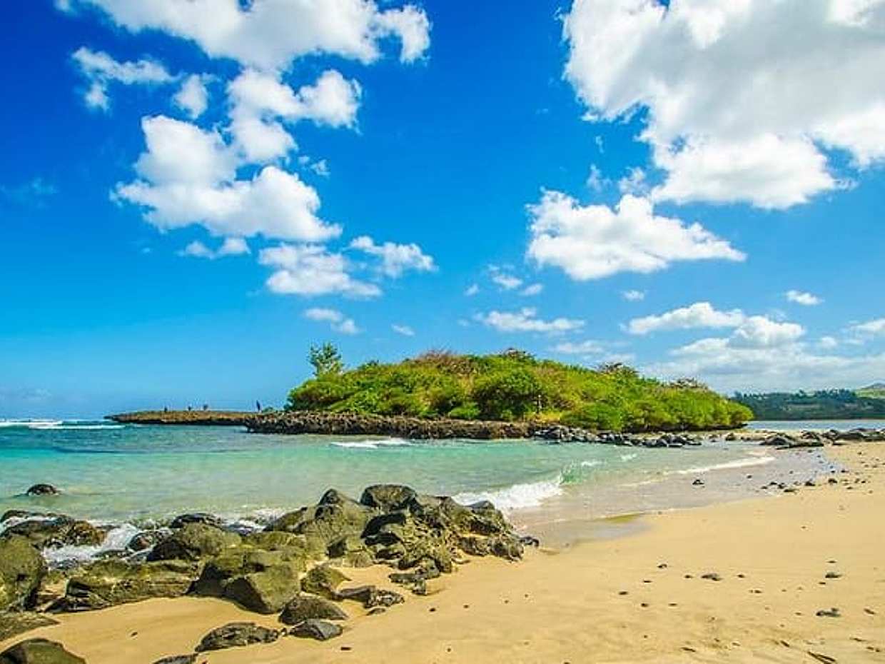 Tropical South West of Mauritius: Full-day All Inclusive tour (Visit to 3 parks), photo 5