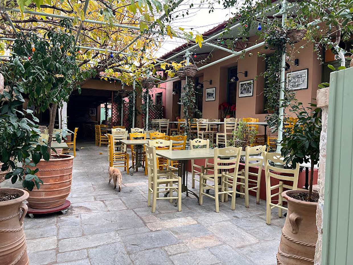 Airport Transfer & Food Experience in Greece, Athens