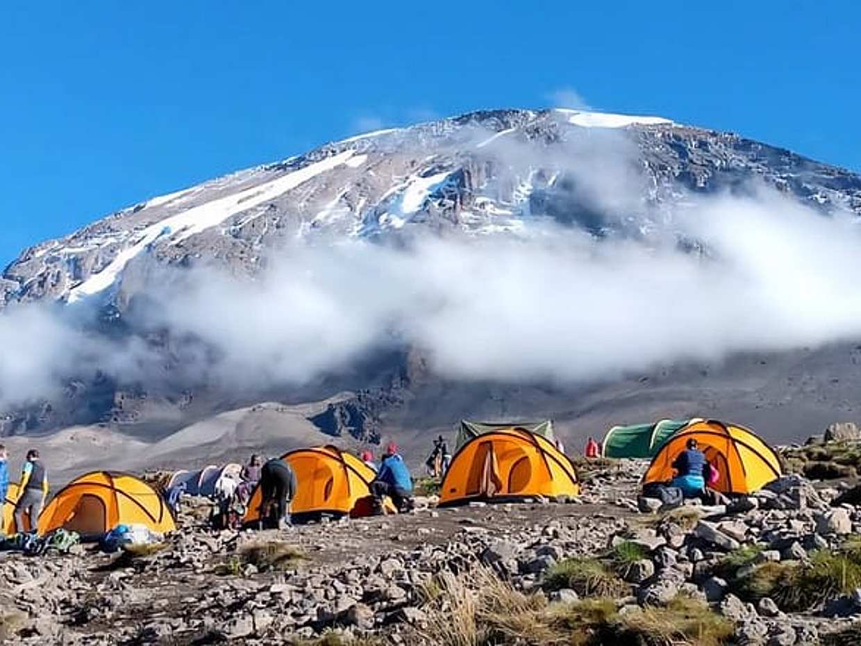 "Percorso Machame Kilimanjaro di 7 giorni | Il percorso più popolare con il whisky ad alto successo in Tanzania, Moshi", photo 2