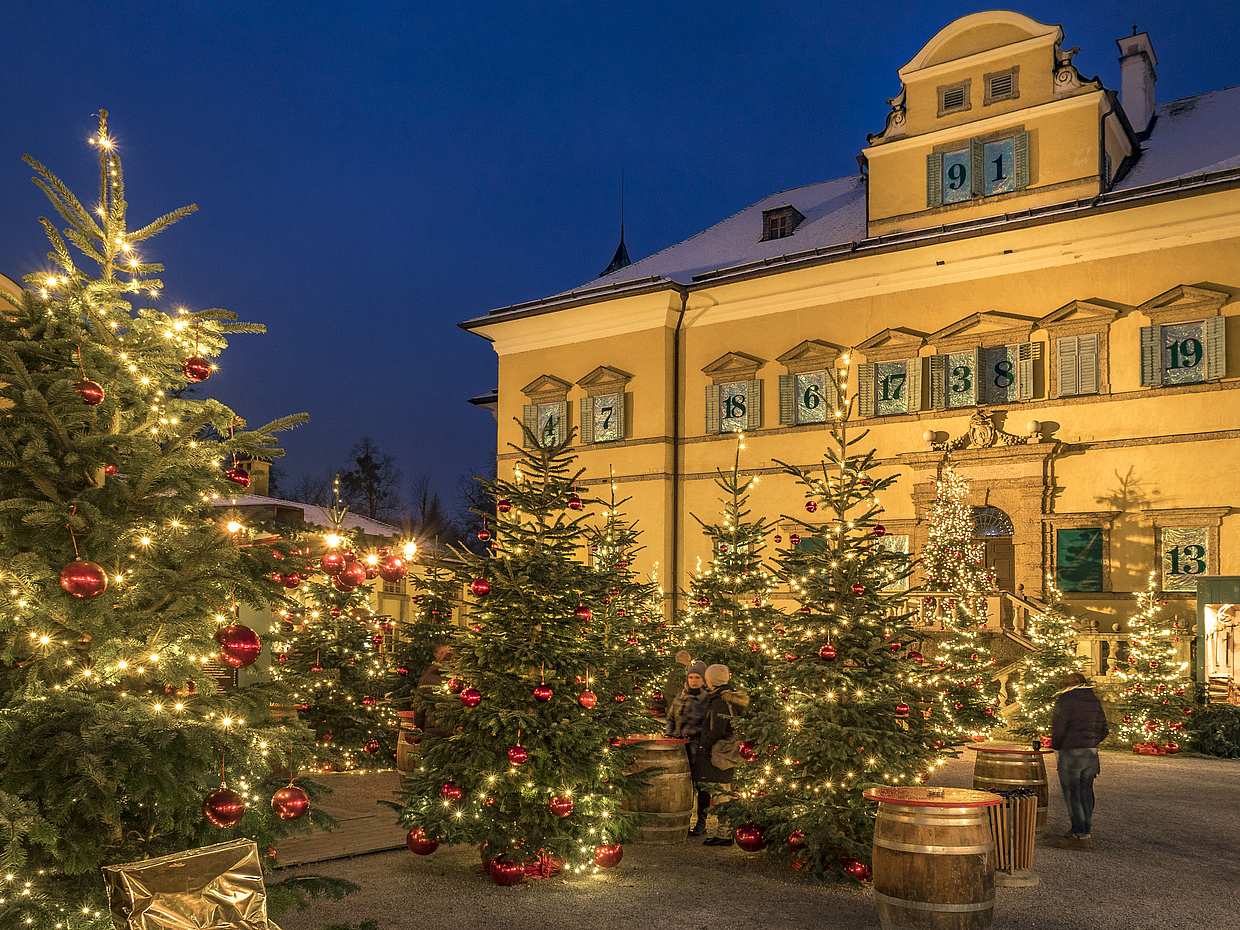 1-hour Mozart City Private Tour in Austria, Salzburg, photo 3