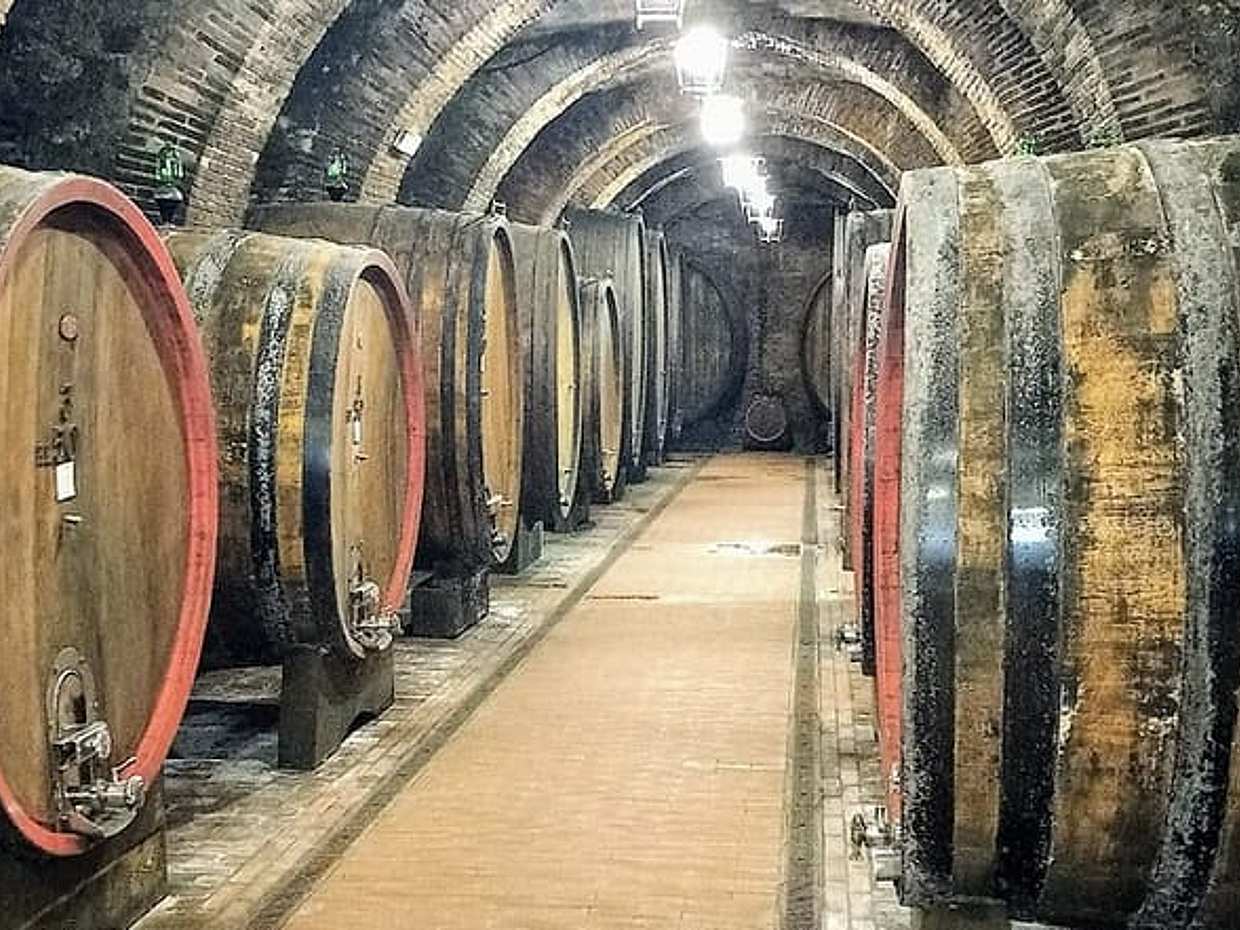 PRIVATE TOUR Savor Exquisite Wines: Brunello & Nobile Wine Tour, photo 3