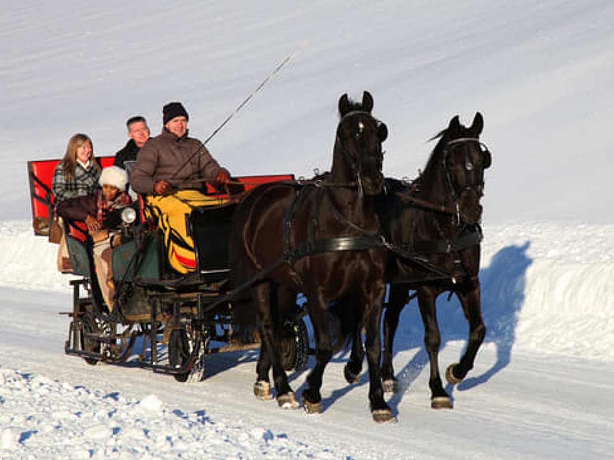 Horse Drawn Sleigh Ride, photo 2