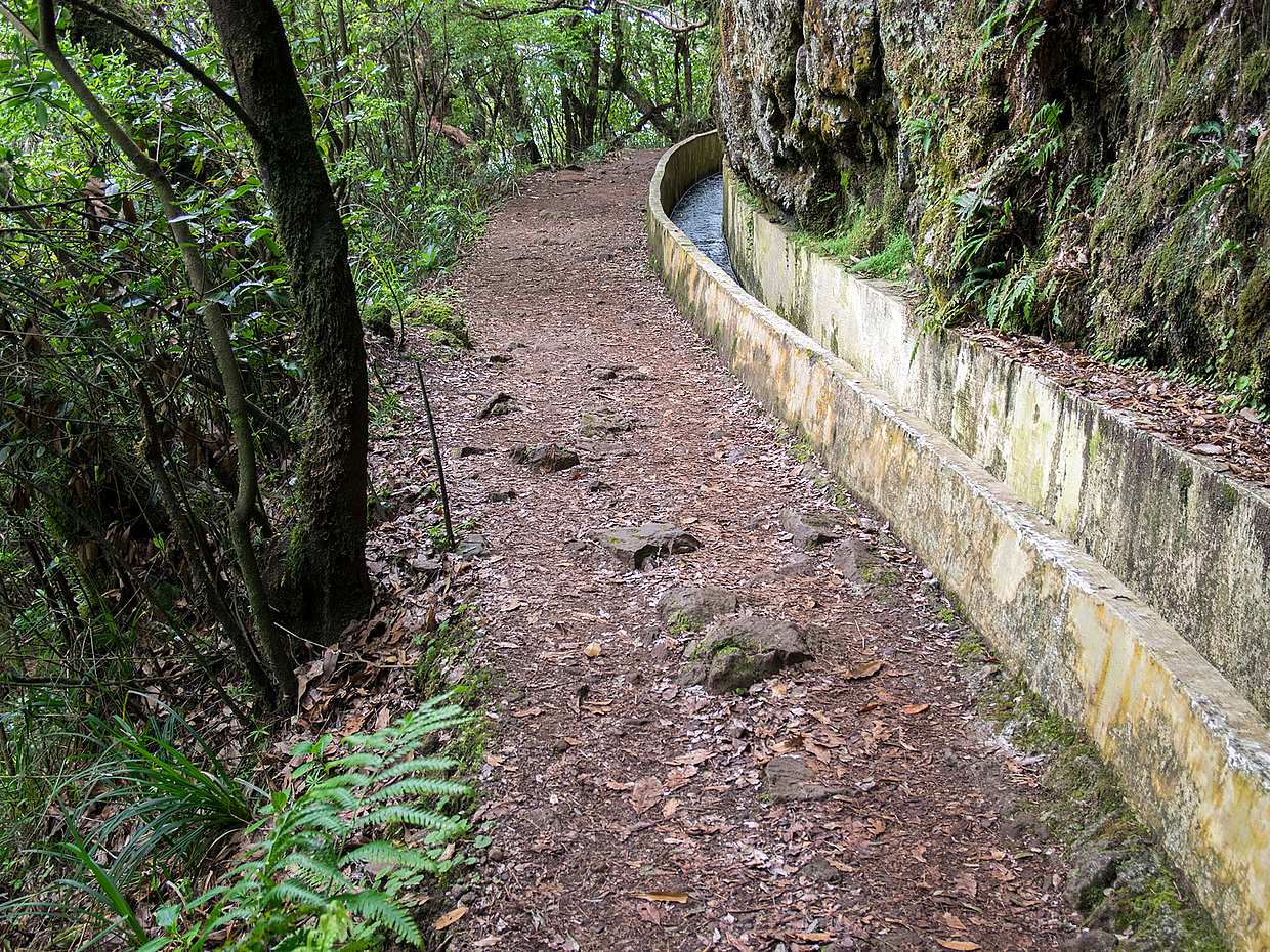 Ribeiro Frio, Portela Ganztägige Wanderung in Portugal, Funchal
, photo 4