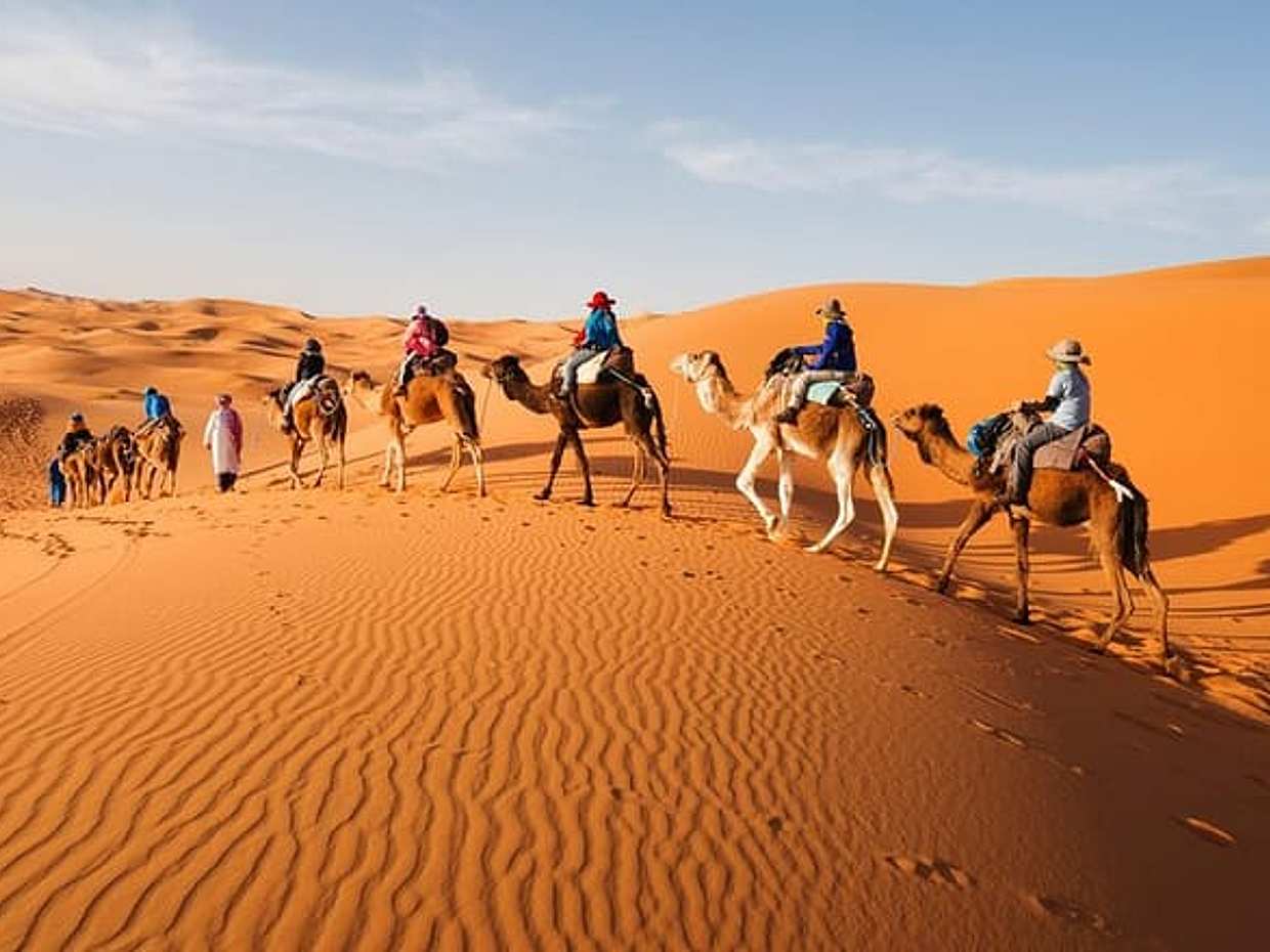 Camel Trekking In Abu Dhabi with Transfer, Fun and More