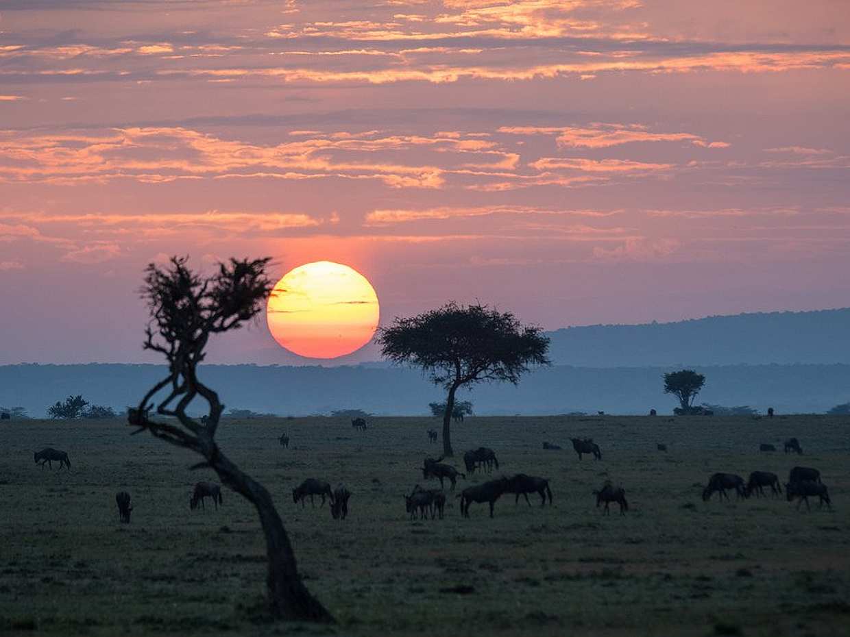 South Luangwa Morning Safari in Kakumbi, Zambia, photo 2
