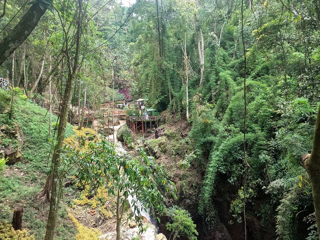 Nha Trang Dalat Private Tour in One Day Including Lunch in Vietnam, photo 4