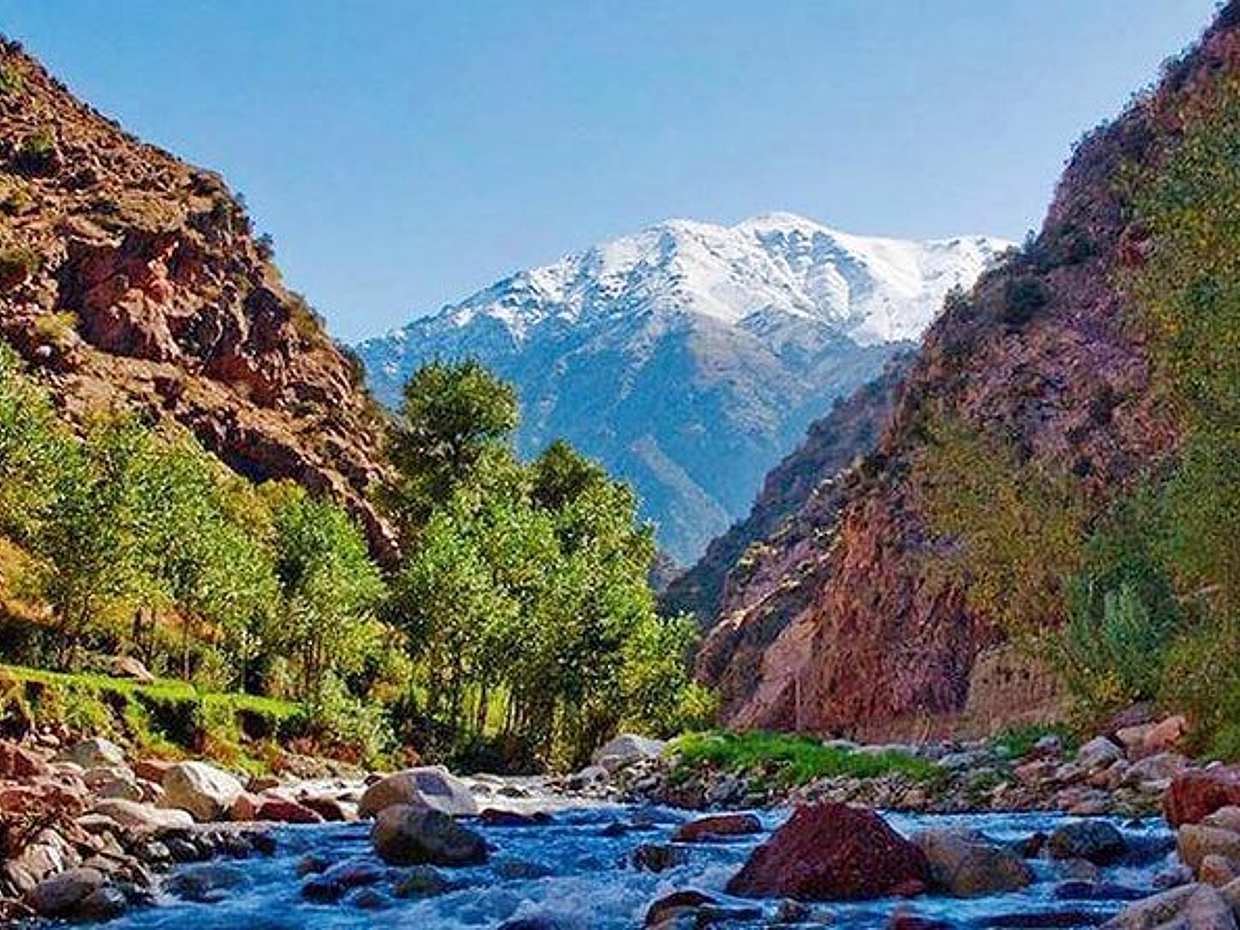 Ourika Valley Atlas Mountains Day Trip in Morocco, photo 3