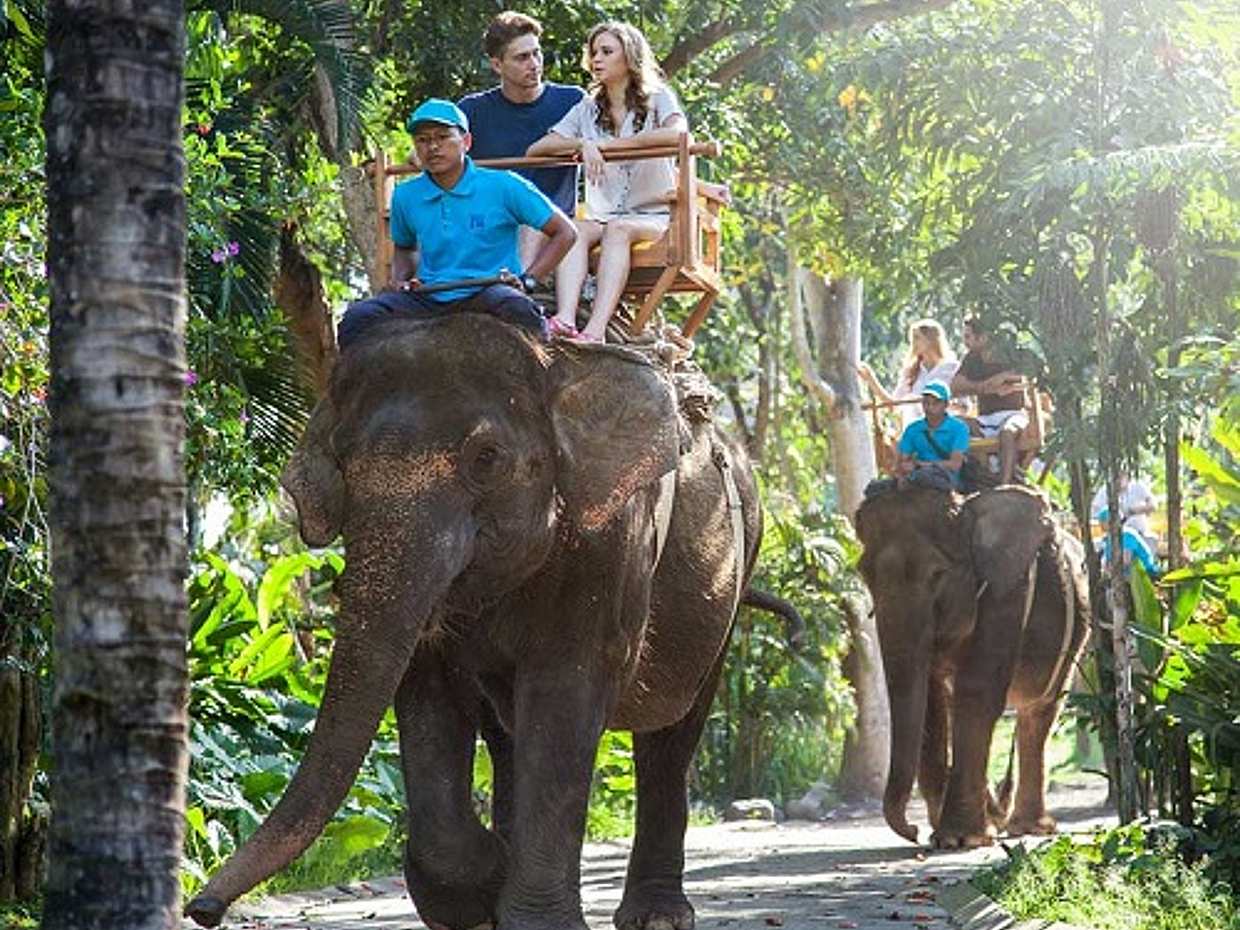 An Unforgettable Elephant Ride at Bali Zoo in Indonesia, Bali Zoo Elephant Ride, photo 2