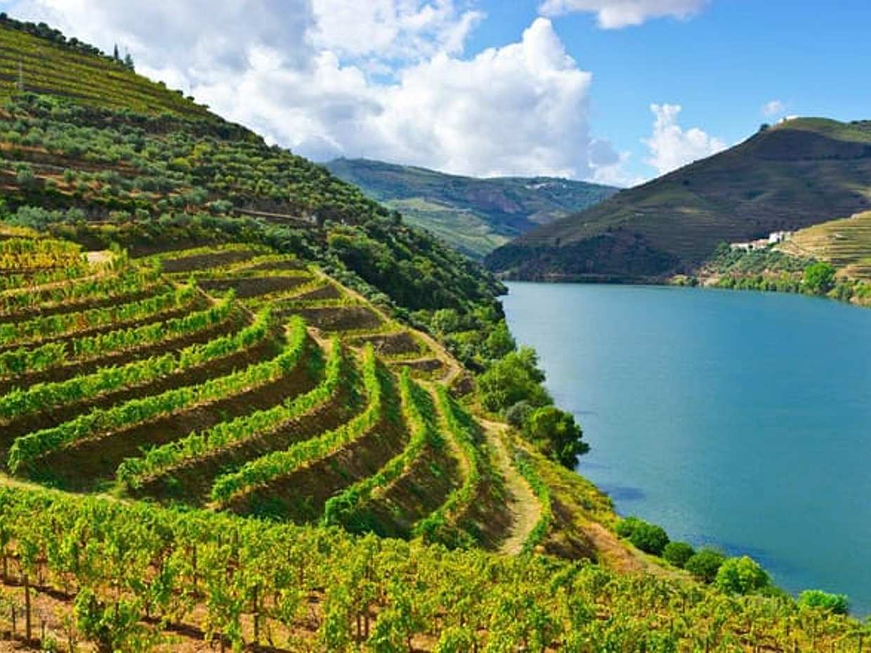 The Pearls of the North of Portugal, Self-drive, Porto, photo 2