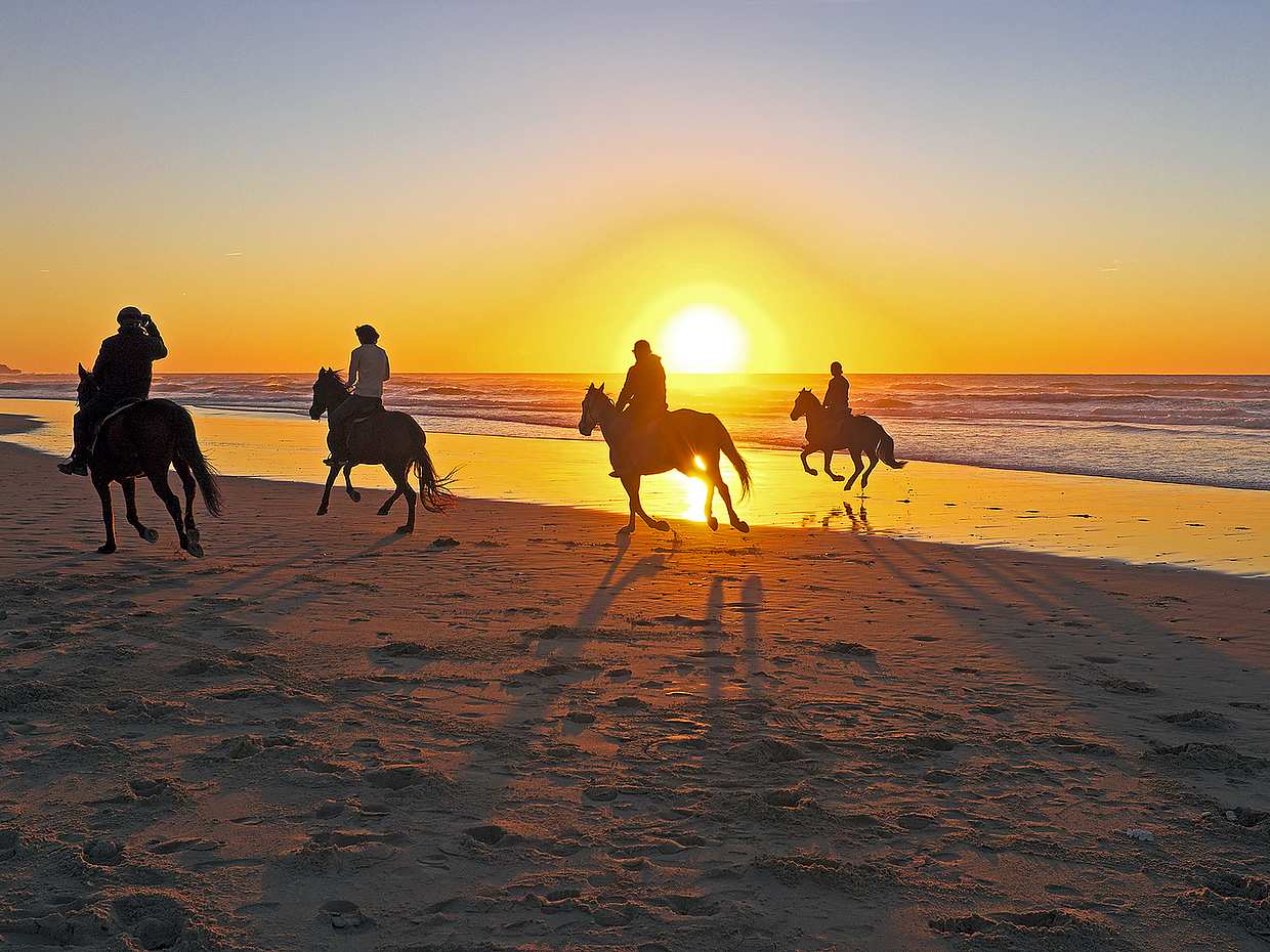 Horseback Riding in Corfu in Greece
