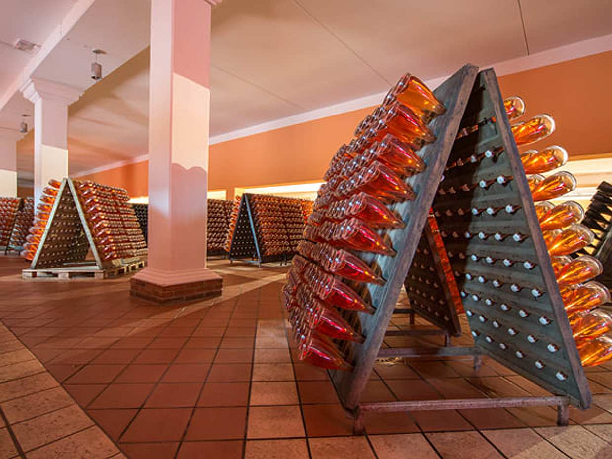 Wine Tour and Tasting on Garda Hills, photo 4