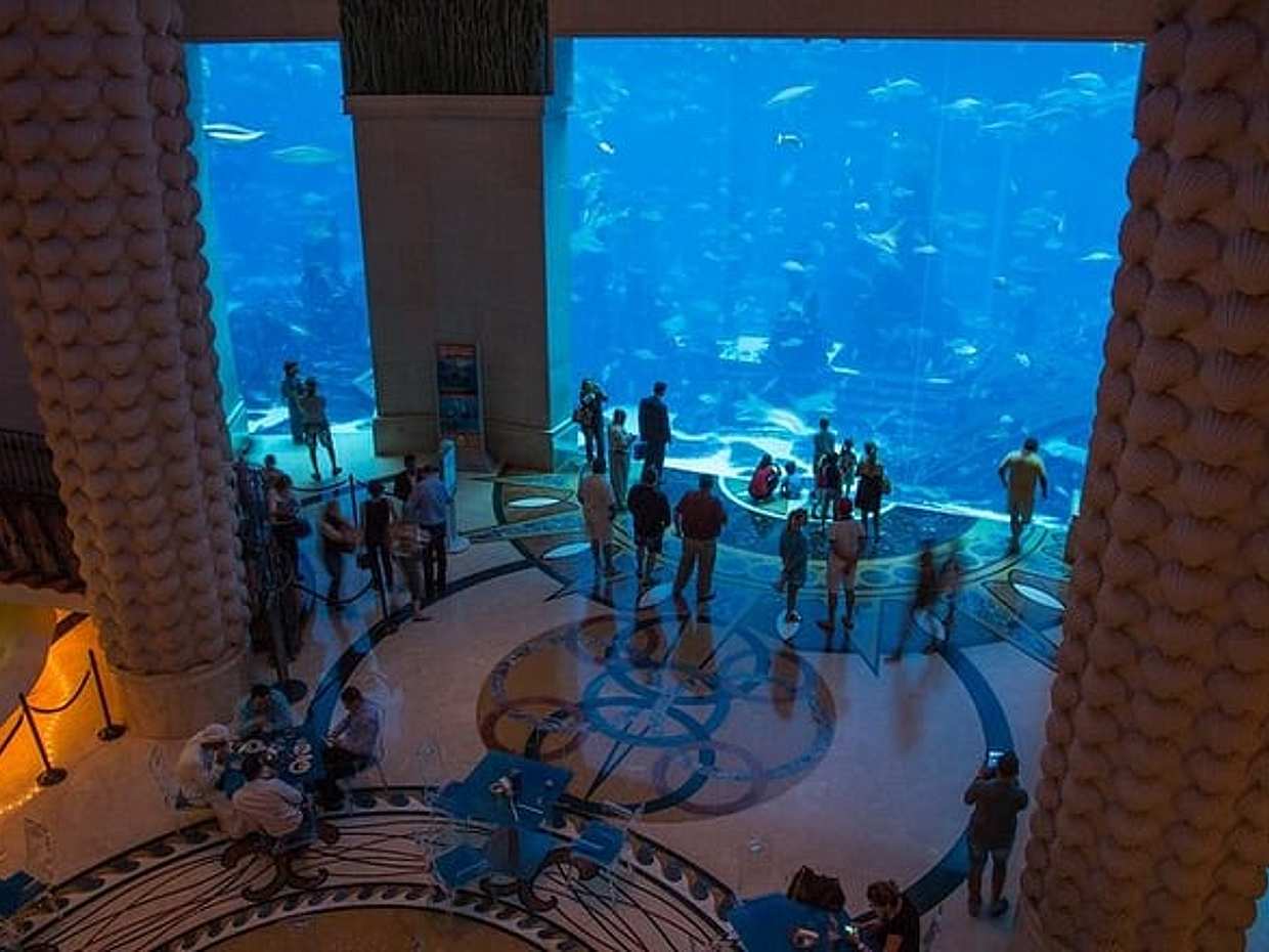 Admission to Lost Chamber Aquarium in United Arab Emirates, Sharjah, photo 2