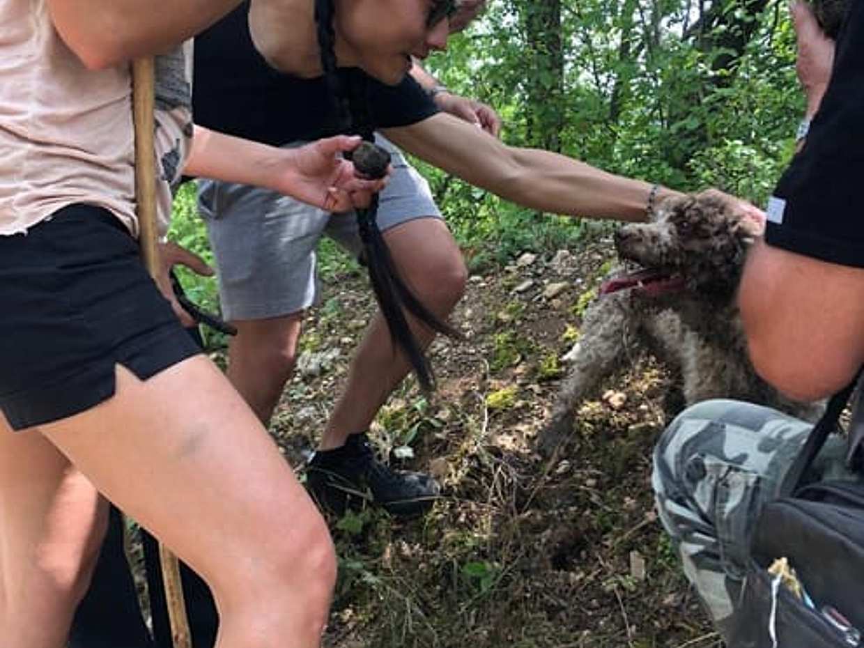 Truffle Hunting and Amarone wine tasting, photo 4