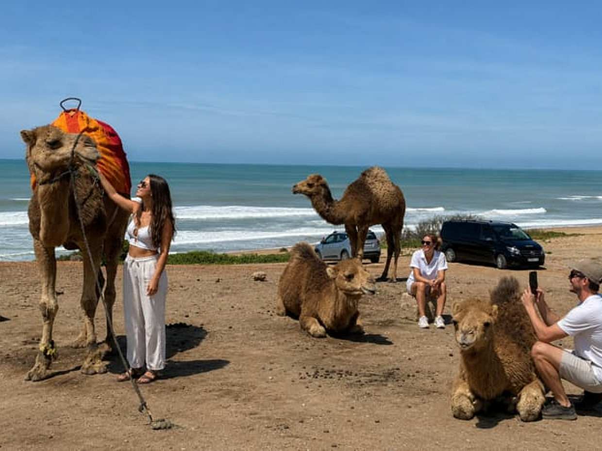 Tangier Kamelritt-Tour mit Abholung und Rücktransfer in Marokko, طنجة, photo 2
