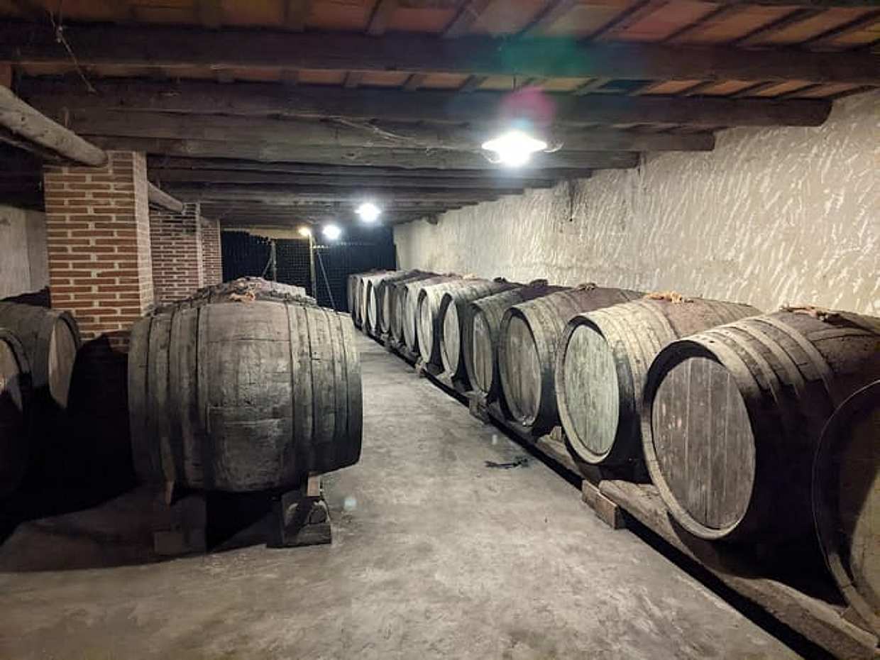 E-Bike Tour Costa Brava + winery tour & brunch, photo 3