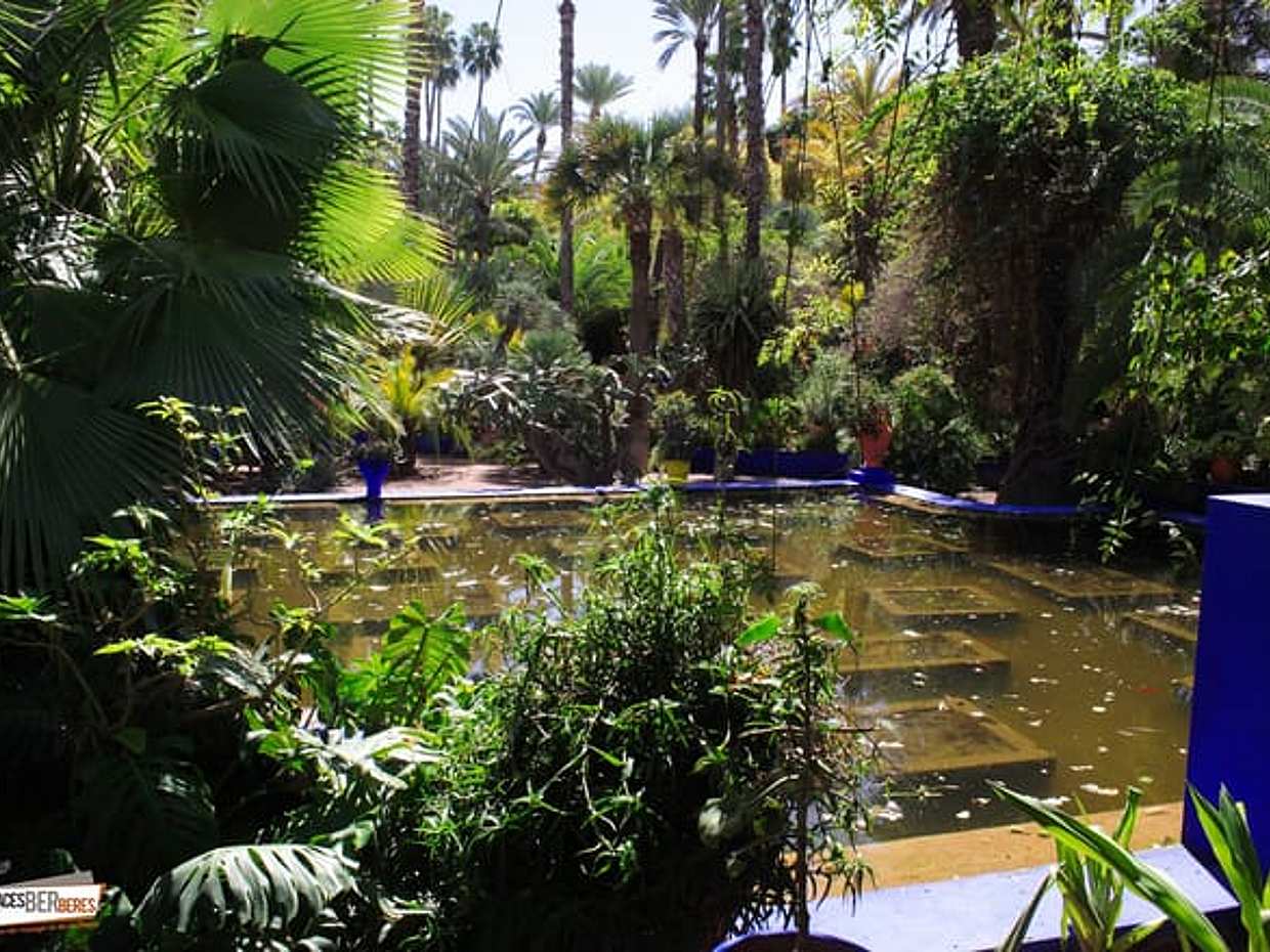 Marrakech Gardens Private Tour, photo 3
