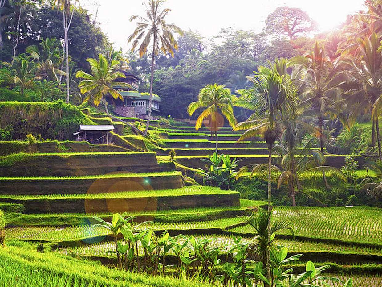 Ubud White Water Rafting, Rice Terrace and Temple Tour, photo 2