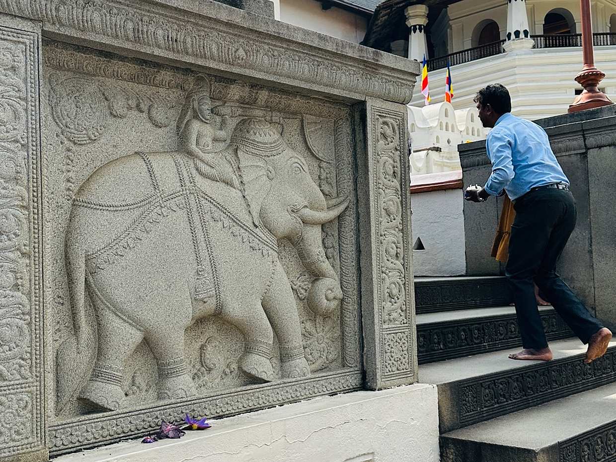 One Day Tour to Kandy in Sri Lanka, Colombo, photo 4