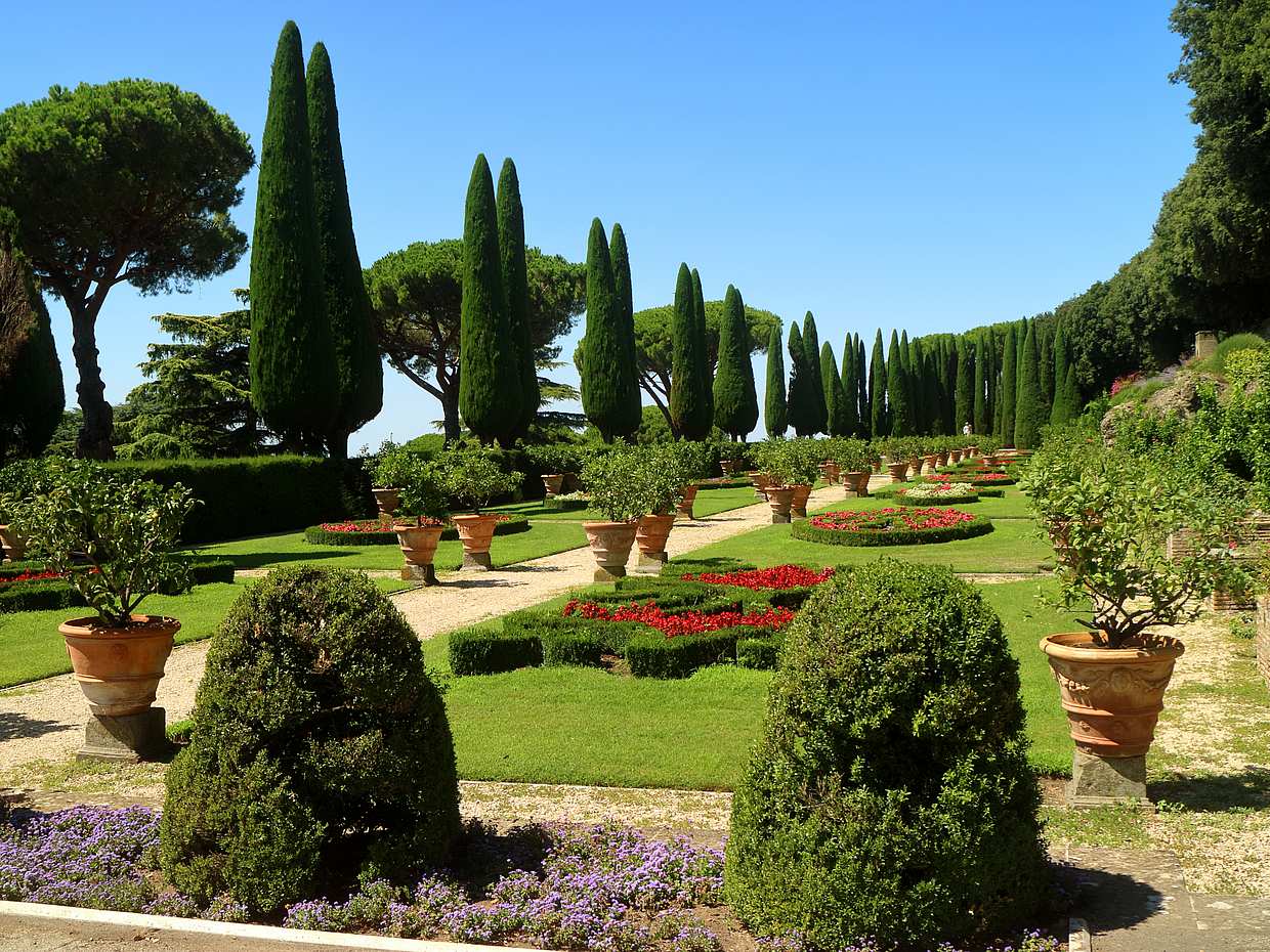Private Cooking Class and  Lunch on the Pope’s Organic Farm in Italy, Rome, photo 5