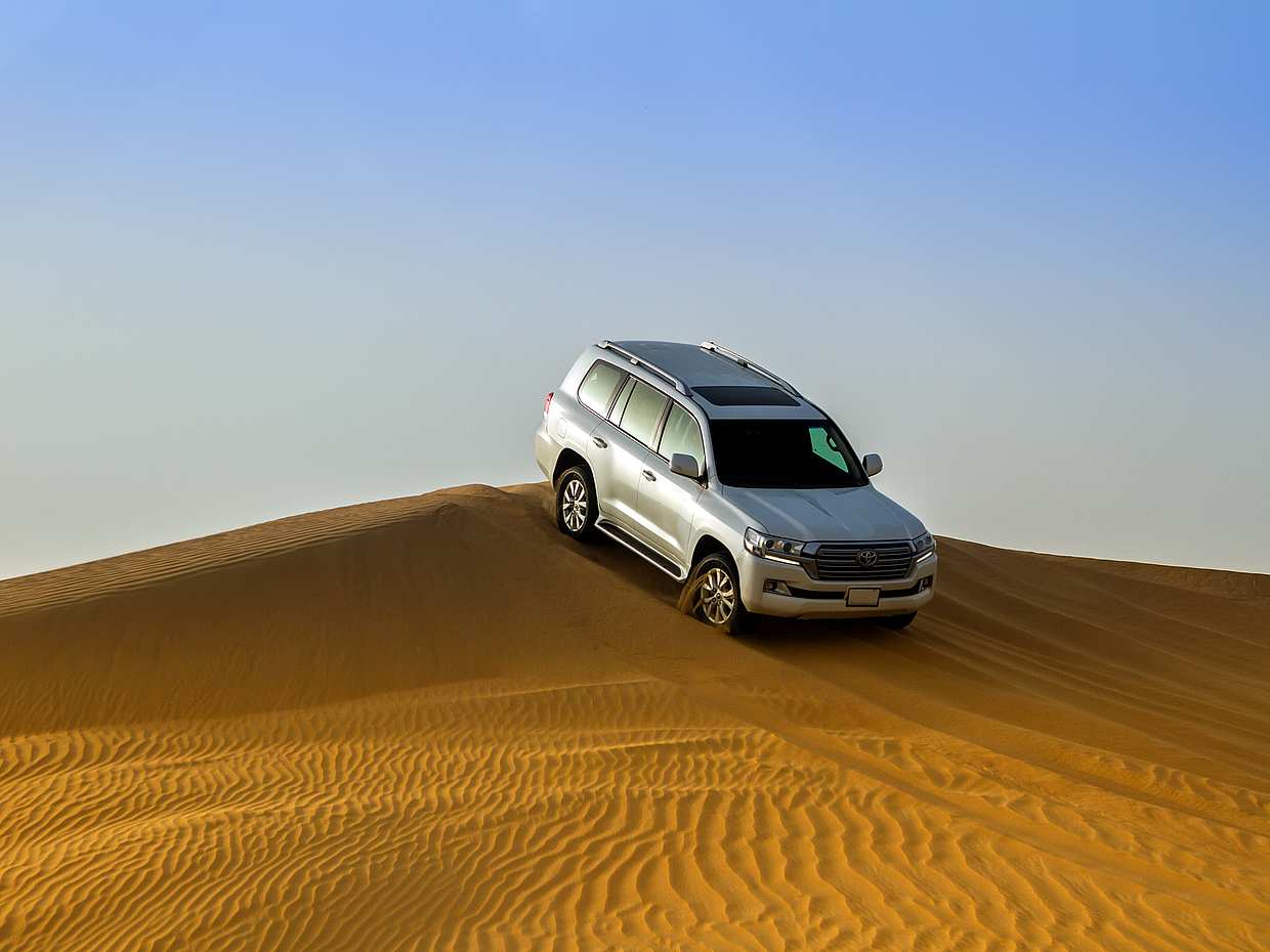 Private Liwa Full-day Desert Safari in Abu Dhabi, United Arab Emirates, photo 4