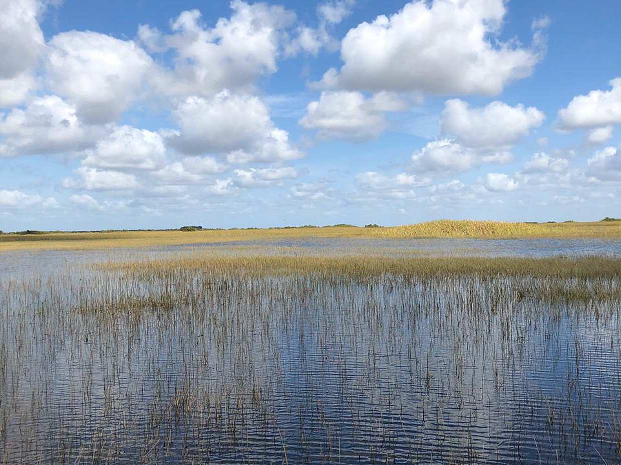 <p>Everglades – Fluss „Gras“ in den Vereinigten Staaten, Everglades Holiday Park</p>, photo 3