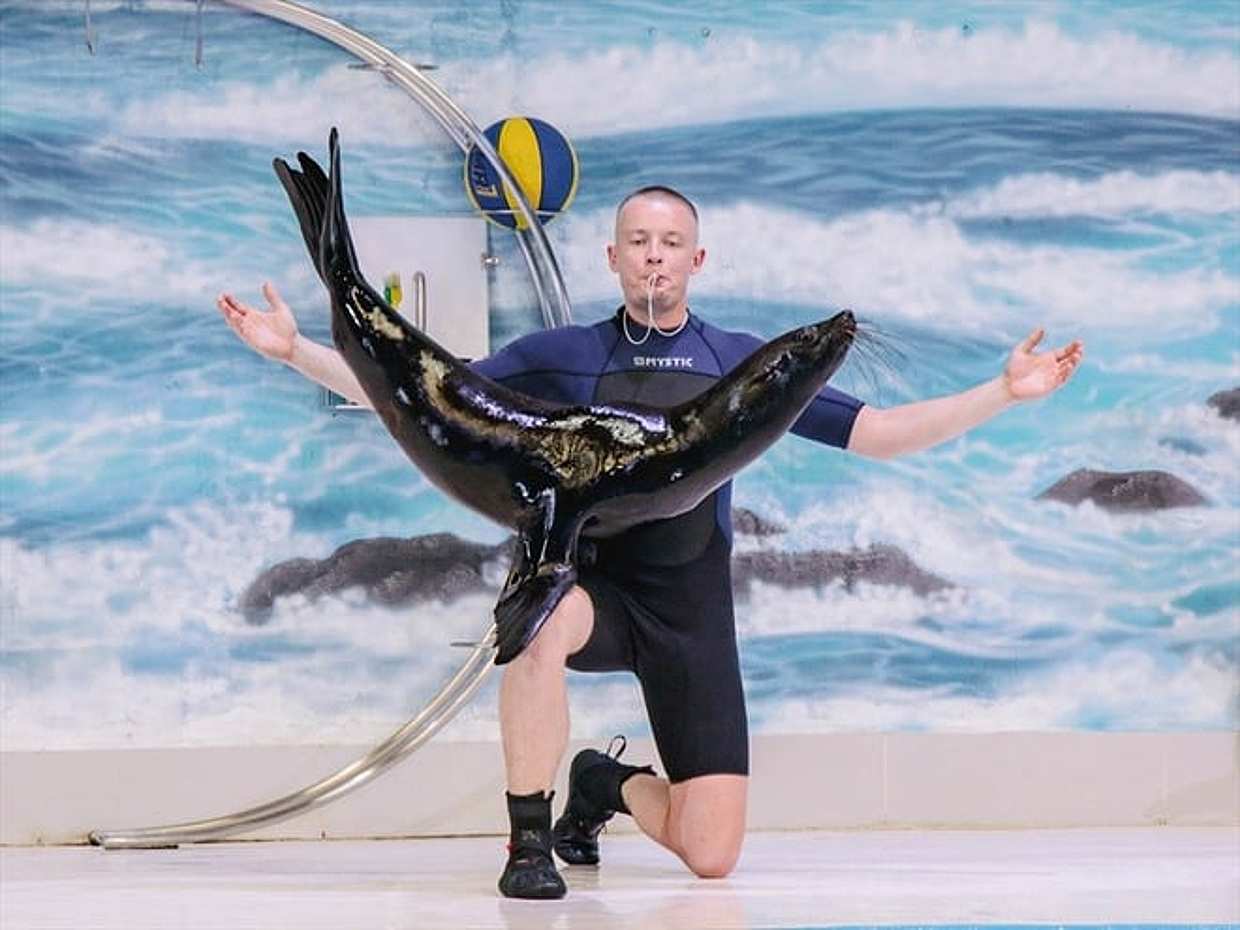 Dubajské delfinárium – vstupenky ve Spojených arabských emirátech, photo 4