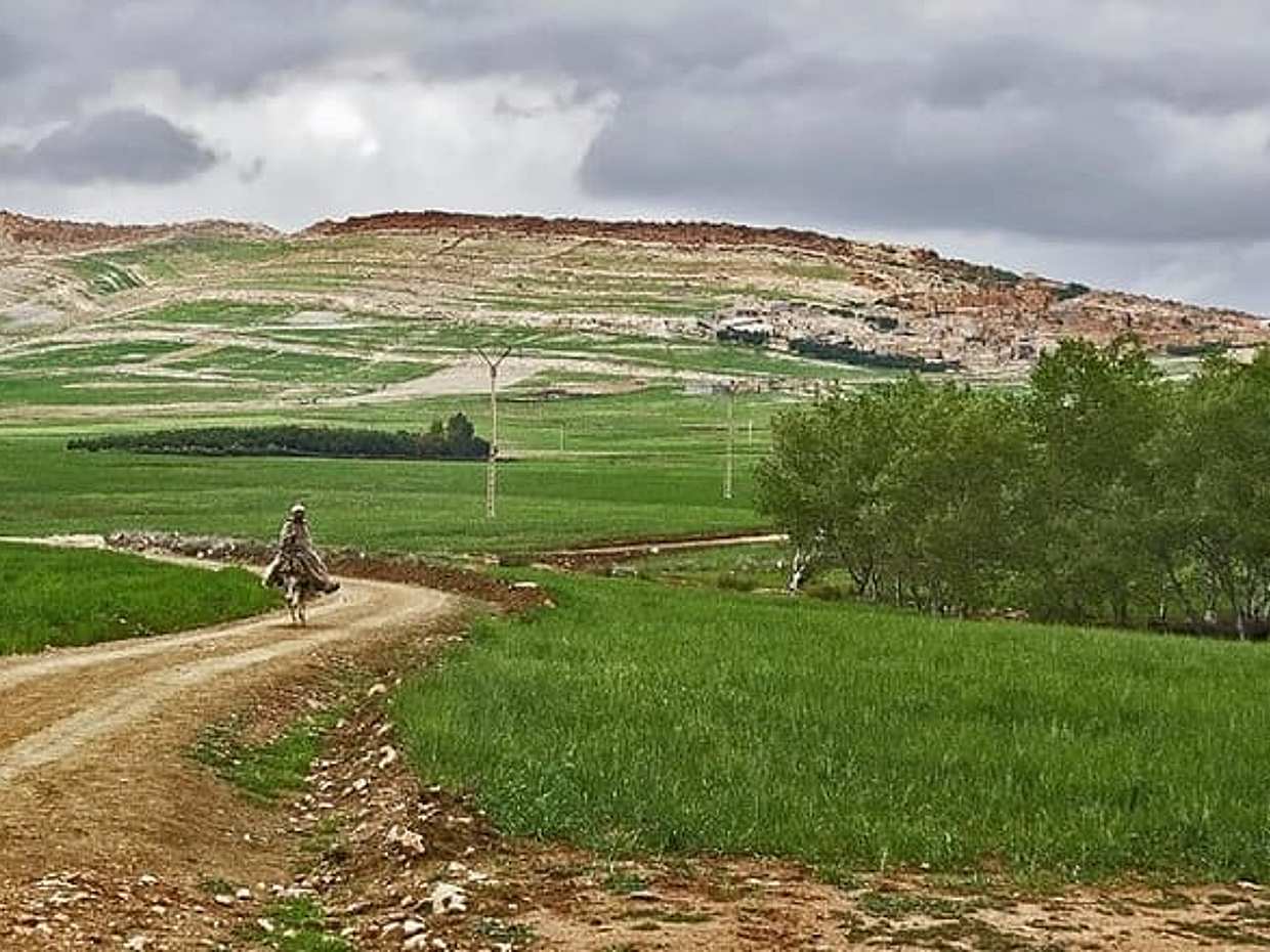Zat Valley and Atlas Mountains Private Day Trip from Marrakech, photo 3