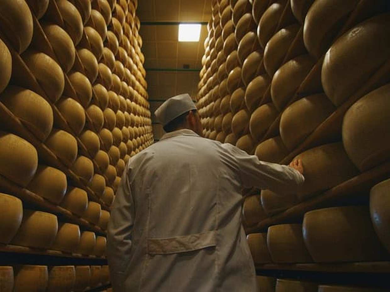 Parmigiano-Reggiano Käserei Kleingruppen-Tour Ab Parma in Italien, photo 5