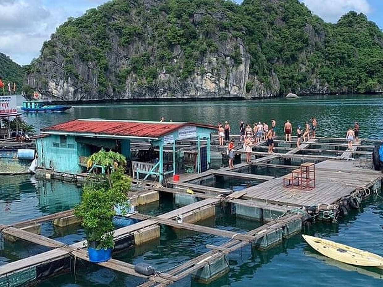2D1N Adventure: Cat Ba National Park, Lan Ha Bay from Cat Ba