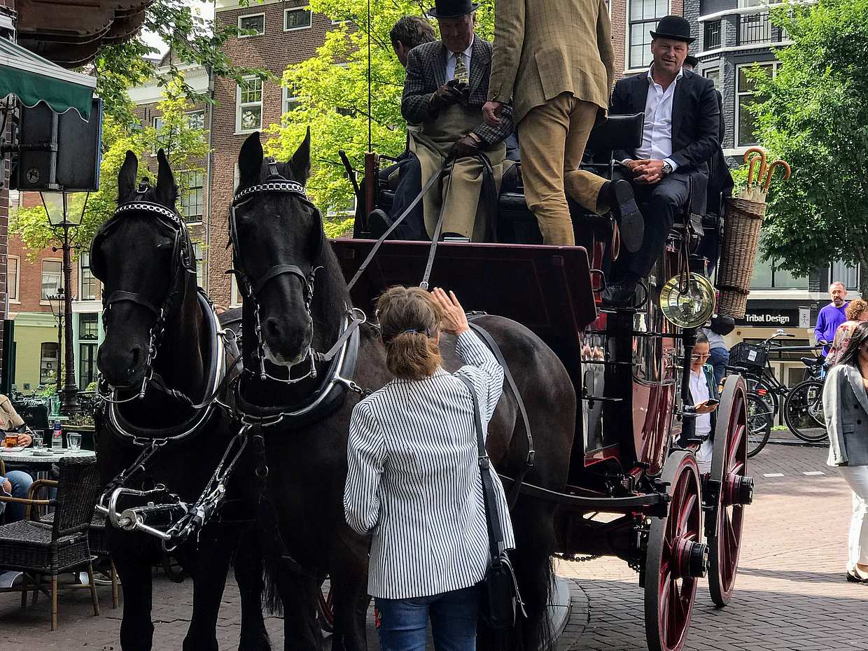 Your Own Amsterdam. Unexpected Treasures of the City in Netherlands, photo 4