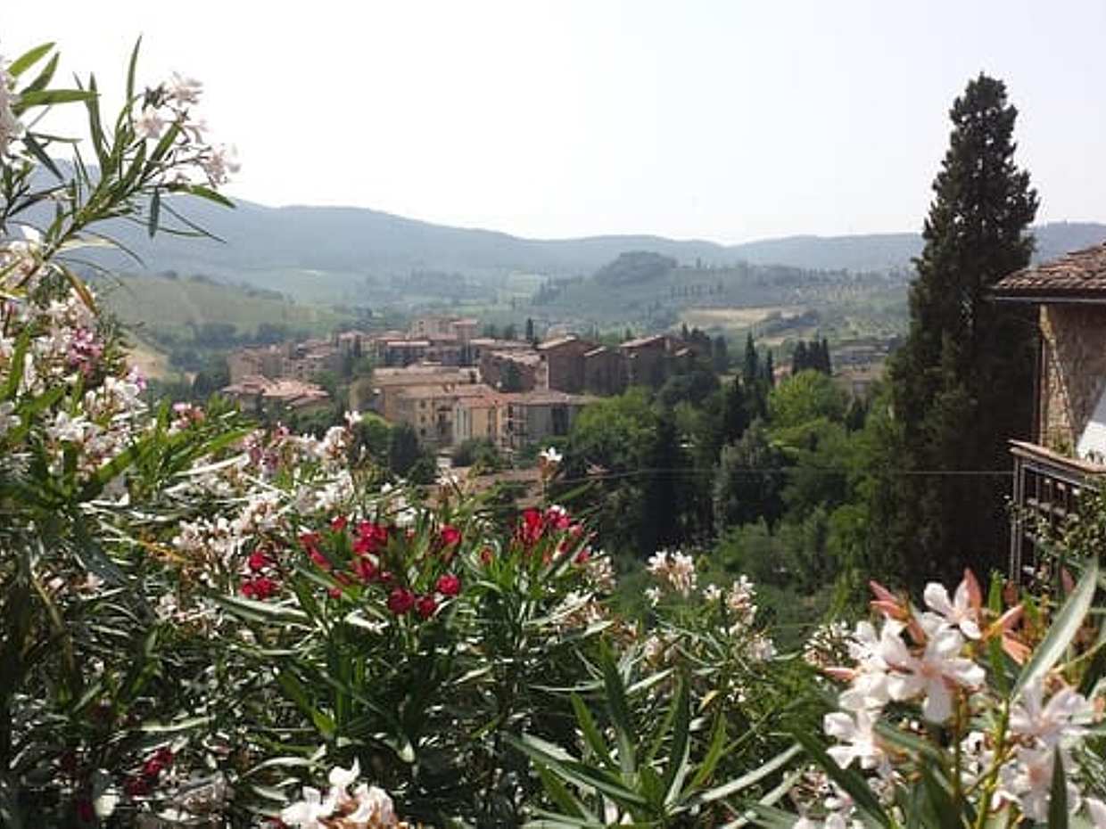 Z Sieny: Jednodenní výlet do Pisy a San Gimignana v Itálii, photo 4