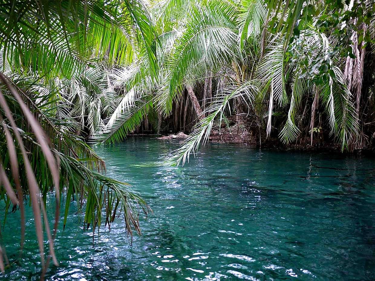Kikuletwa (Chemka) Hot Springs Full-day Tour from Arusha in Tanzania, photo 4