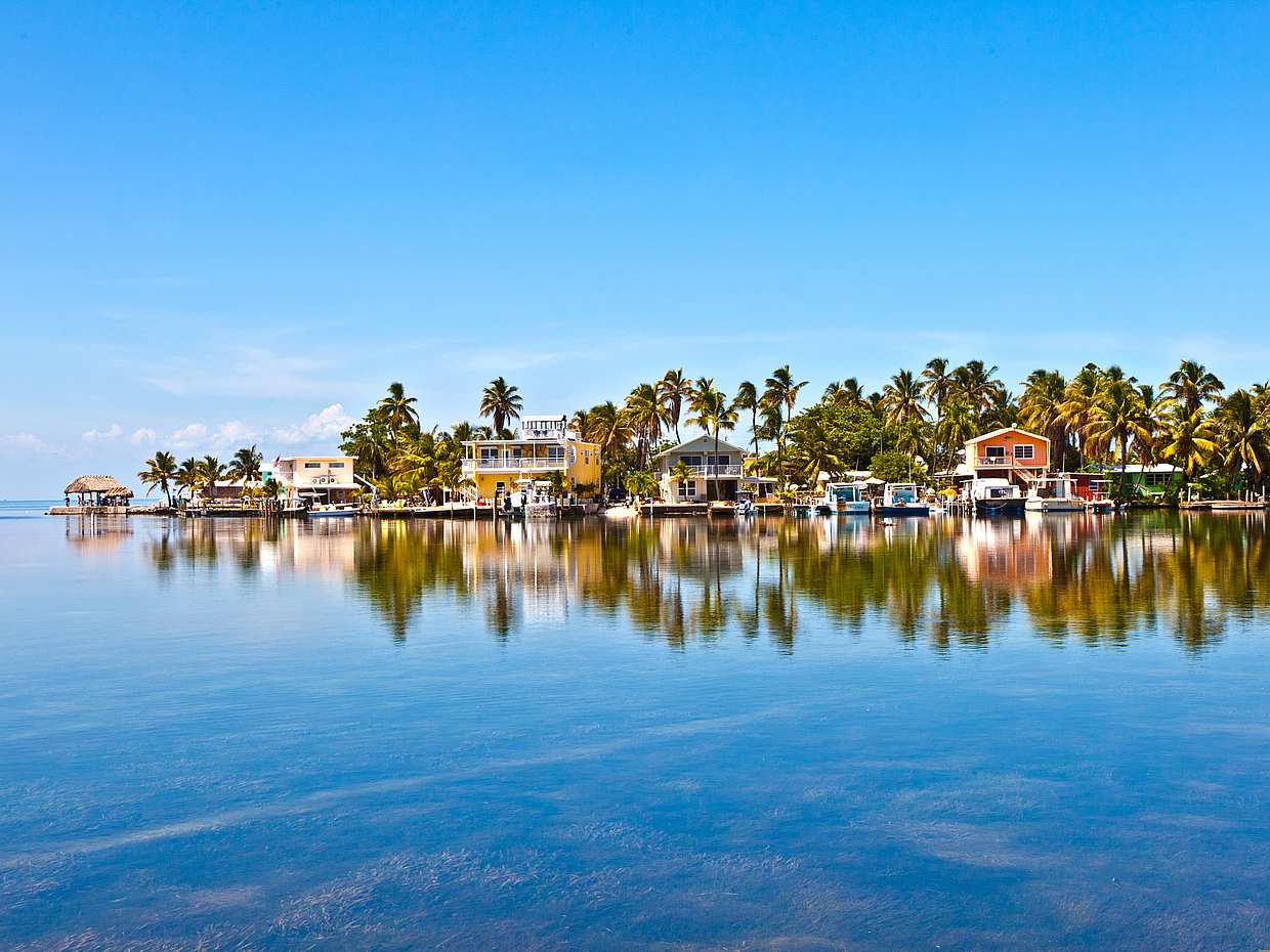 Key West Excursions from Miami: Shuttle, Dolphin Discovery, Snorkeling & More! in United States, photo 4
