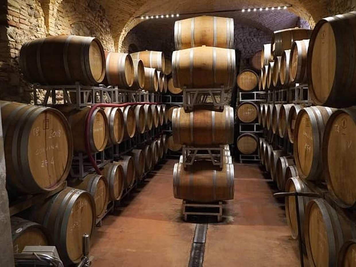 Wine Tasting in Historical Center of Lazise, photo 5