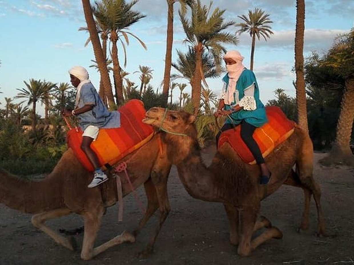 Authentic 1-Hour Camel Ride Adventure, photo 3