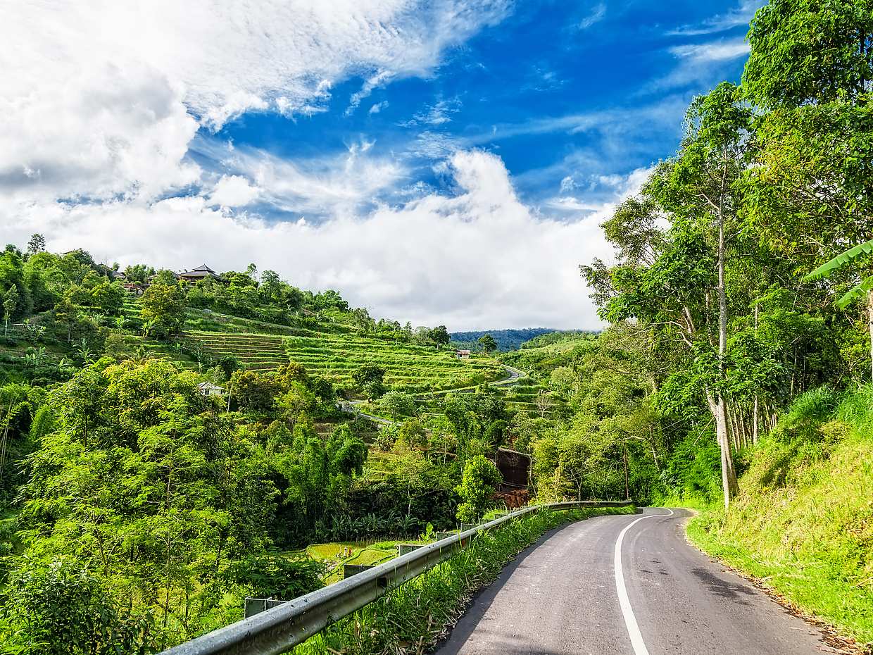 Half-day Bali Private Trip by Car, photo 4