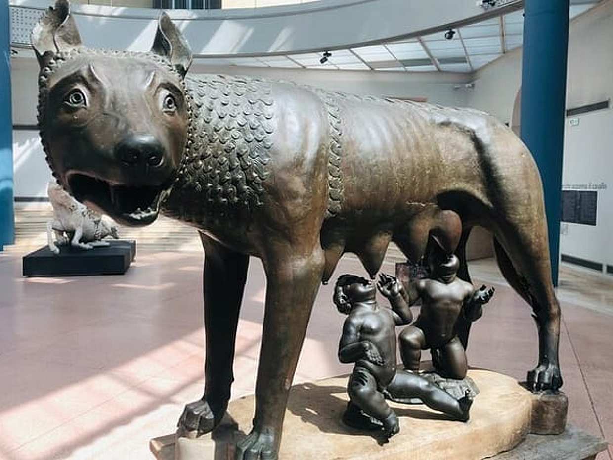 Rome Capitoline Museums Private Guided Tour and Panoramic Views, photo 4