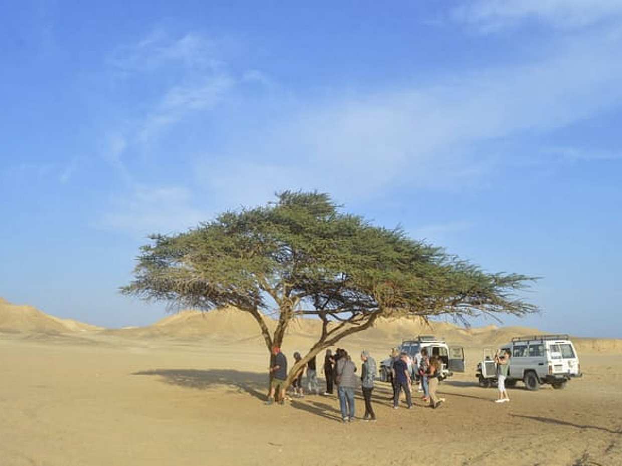Shore Excursions: Adrenaline Rush Desert Adventure from Safaga, photo 3